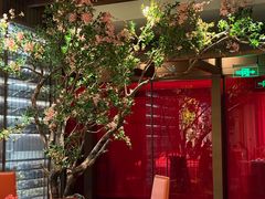 -星·South Beauty·俏江南(国贸店)