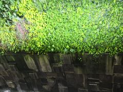 -西沃古尔·拉姆古兰爵士国际机场