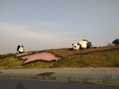 -空港花田景区