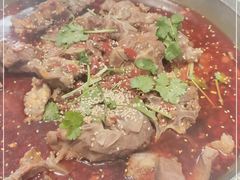 -小龙跃.羊蝎子火锅(凤凰北街店)