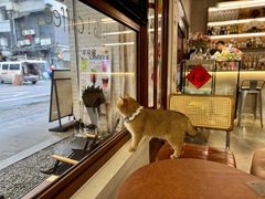 -想见你(咖啡·茶饮·甜品·江汉路店)