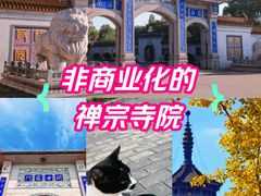 -高旻寺