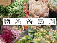 -鹿岛生活(熙地港店)