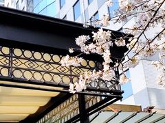 -玛格萝妮比萨屋(四平店)