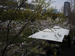 -龙美术馆(西岸馆)
