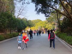 -金鸡山公园