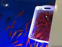 -嘉文梦想世界(SM天津滨海城市广场店)