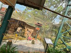 -吉隆坡雀鸟公园