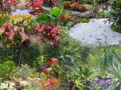 -深圳仙湖植物园