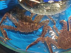 -乔家小院•非遗驴肉•本地小海鲜(滨河路店)