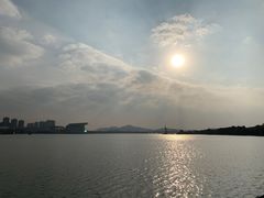 -高子水居