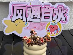 -白水寺森林公园