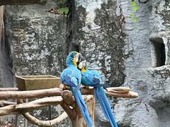 -清迈夜间动物园