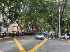 -上海交通大学医学院附属瑞金医院(总院)
