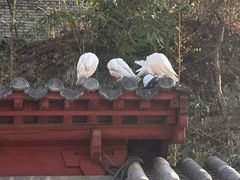 -红螺寺