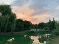 -尚贤河湿地