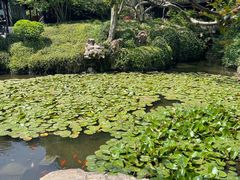 -上海醉白池公园