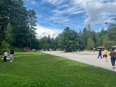 -五营红松林海景区