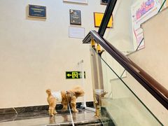 -宠爱国际动物医院·疑难骨科·心肾内科·皮肤科(太阳宫店)