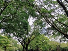 -荔香公园