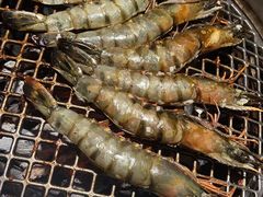 -本寻烧肉酒场(双井店)