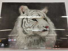 -汉中路(地铁站)