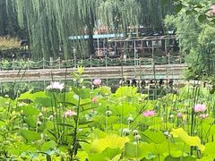 -康庄公园