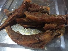 小黄yu-夜烤·宜宾烧烤(洋河路店)