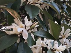 -白塘生态植物园