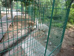 -石家庄市动物园