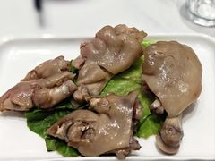 -丁老爷子苏香圆