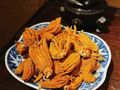 -觀芷隐轩