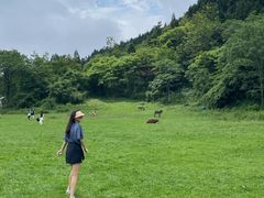 -武陵山森林公园