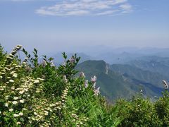 -白草畔自然风景区