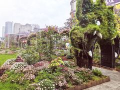 -南屏步行街