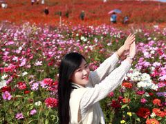 -六合国家地质公园桂子山景区