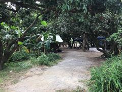 -鹤之洲湿地公园