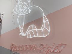 -浣熊柯尔鸭土拨鼠·电玩咖