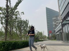 -大兴滨河森林公园