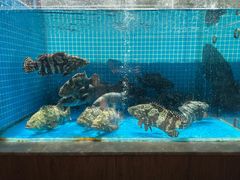 -阿伟海鲜楼·福建菜(涵江店)