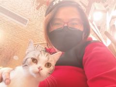 -飞行喵MR PILOT|猫舍·猫咖(静安大融城店)