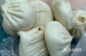 Wild Mountain Vegetable Dumpling
