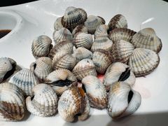 -文华小渔村(椒江康平路店)