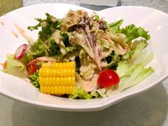 田园蔬菜色拉-绍兴饭店(大宁店)