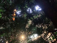-杭州第一世界大酒店·云曼温泉