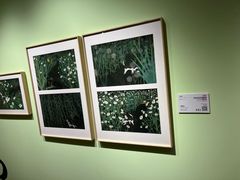 -【朵云轩艺术中心】博洛尼亚插画展·中国巡展·上海站
