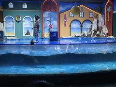 -重庆欢乐海底世界