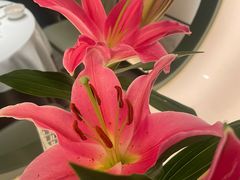 -潮上潮(南中环店)