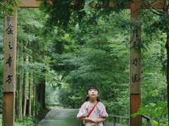 -凤栖山