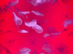 -沈阳海洋探索中心